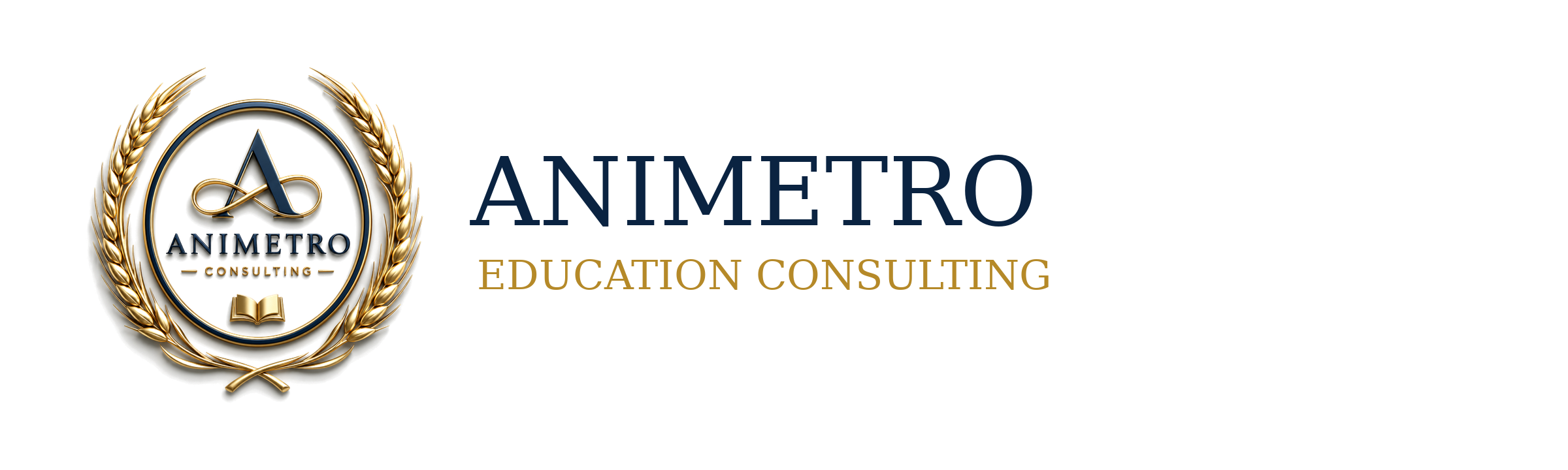 Animetro Consulting