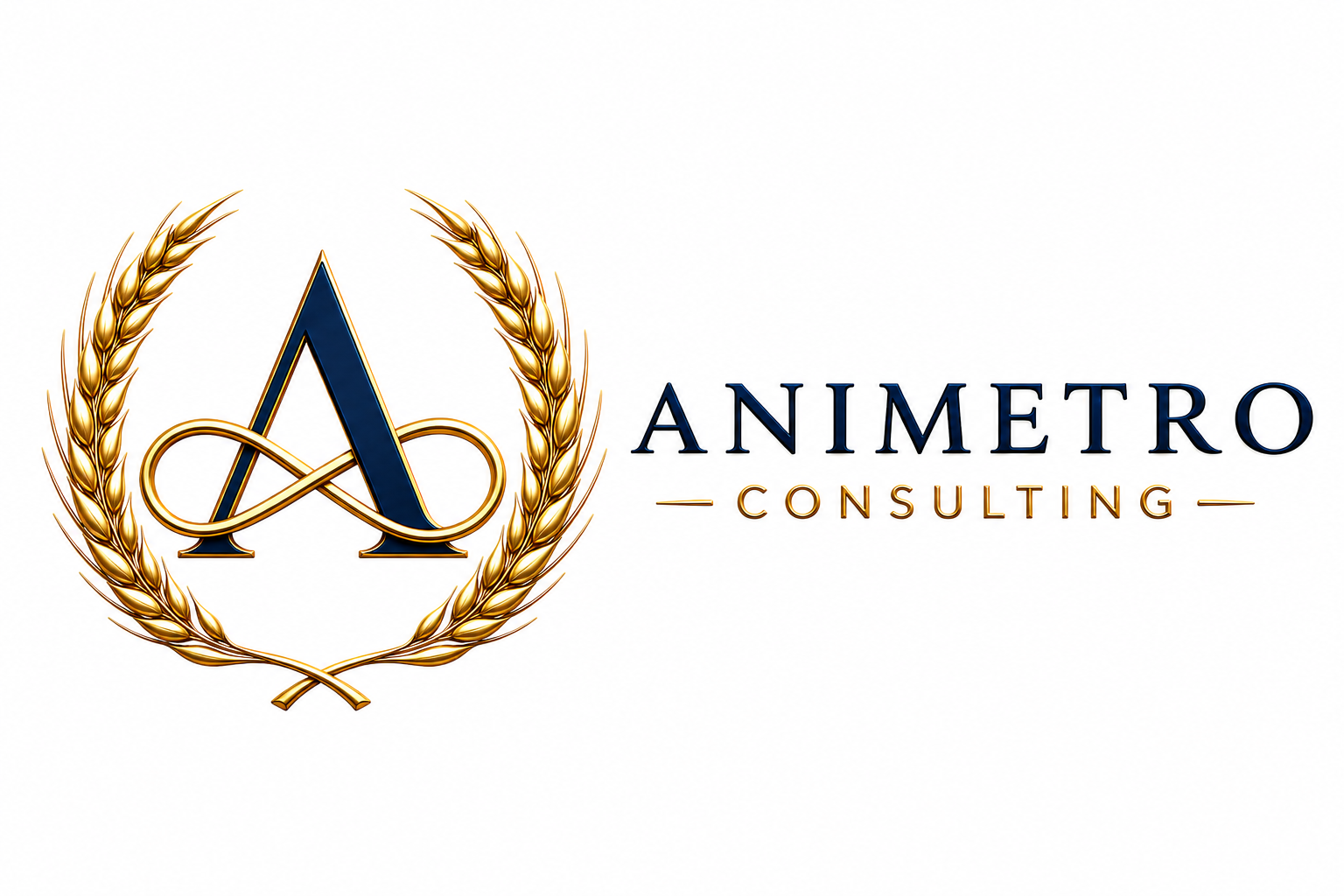 Animetro Consulting